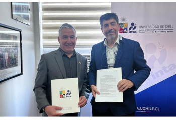 Imagen1