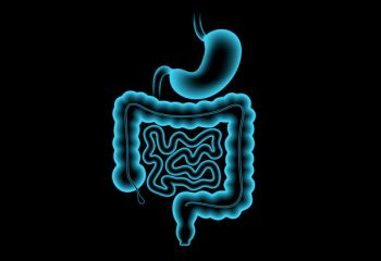 Stomach_3D_11